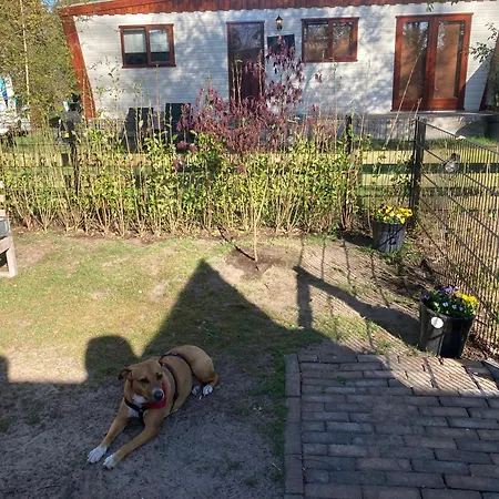 Paloma Campingplatz *