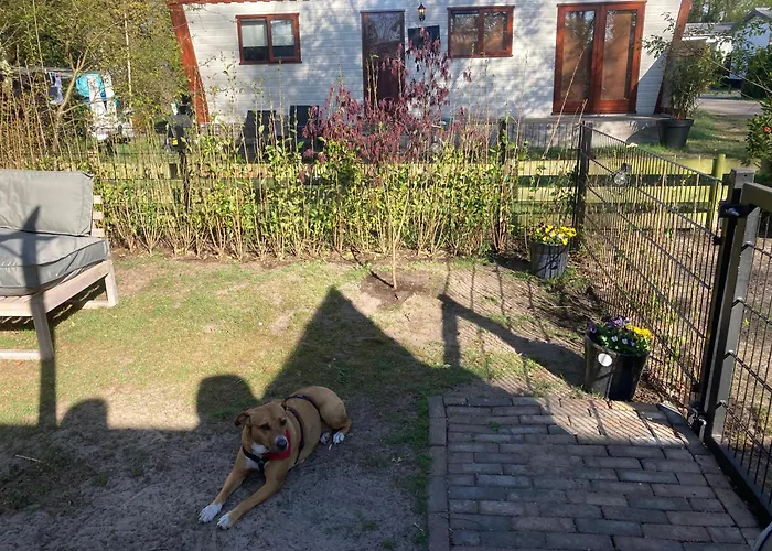 Paloma אתר קמפינג *