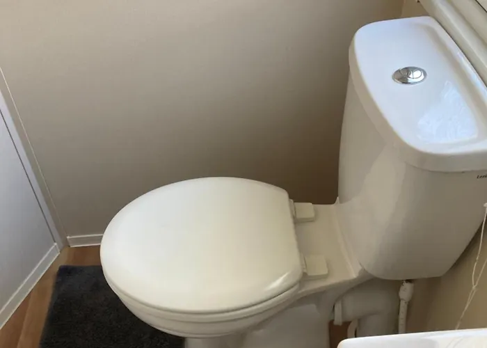 Paloma הארדרוייק